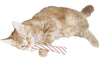 Catnip Candy Stick Cat Toy