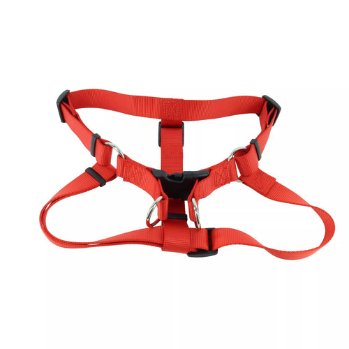 Coastal Comfort Wrap Adjustable Dog Harness - Medium 3/4 (20-30)