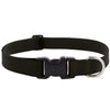 Splash Waterproof Dog Collar 12-20, 1 Wide - Jet Black