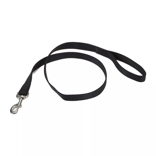 Coastal Single-Ply Dog Leash - 6 ft Long, 3/4in Width