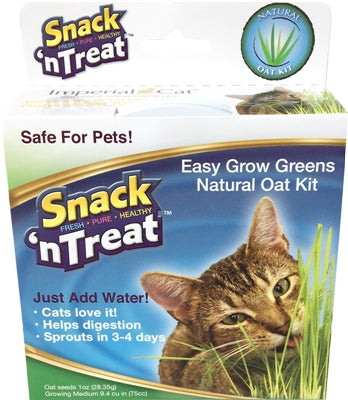 Snack 'n Treat Easy Grow Oat Grass Kit