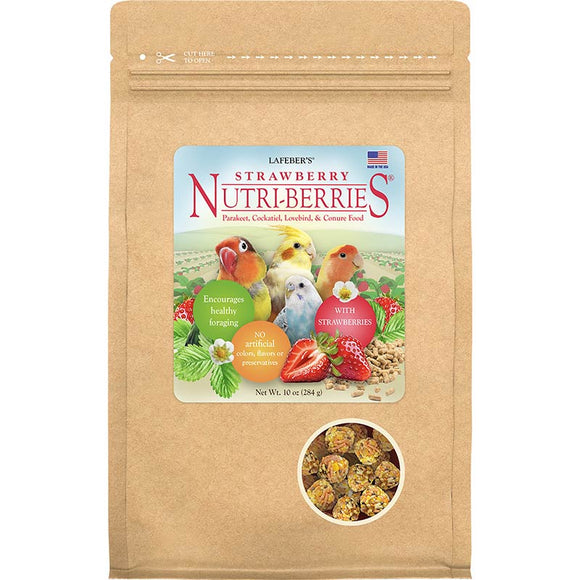 LIMITED EDITION Strawberry Nutri-Berries for Small Birds 10oz