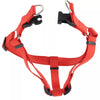 Coastal Comfort Wrap Adjustable Dog Harness - Medium 3/4 (20-30)