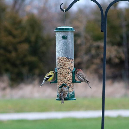 Standard Seed Tube Feeder