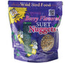 C&S Berry Flavored Suet Nuggets™ - 27oz