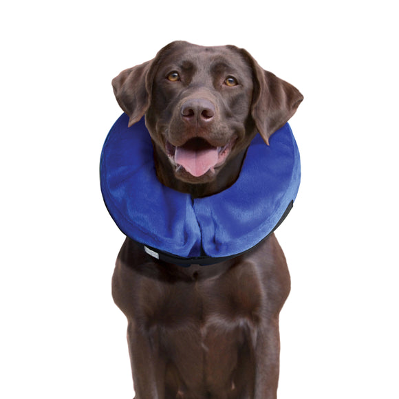 E-COLLAR CLOUD - Large