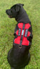 BAYDOG SERVICE DOG HARNESS - SMALL