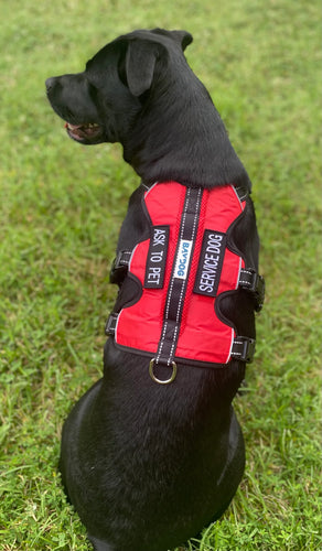 BAYDOG SERVICE DOG HARNESS - SMALL