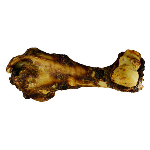 DINO BONES (BEEF BONE)