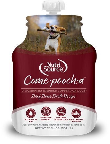 Come·pooch·a™ Beef Bone Broth Recipe