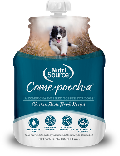 Come·pooch·a™ Chicken Bone Broth Recipe