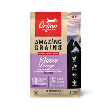 ORIJEN AMAZING GRAINS, PUPPY LARGE 22.5# DRY DOG FOOD