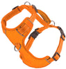 BAYDOG CHESAPEAKE HARNESS ORANGE - X-LARGE