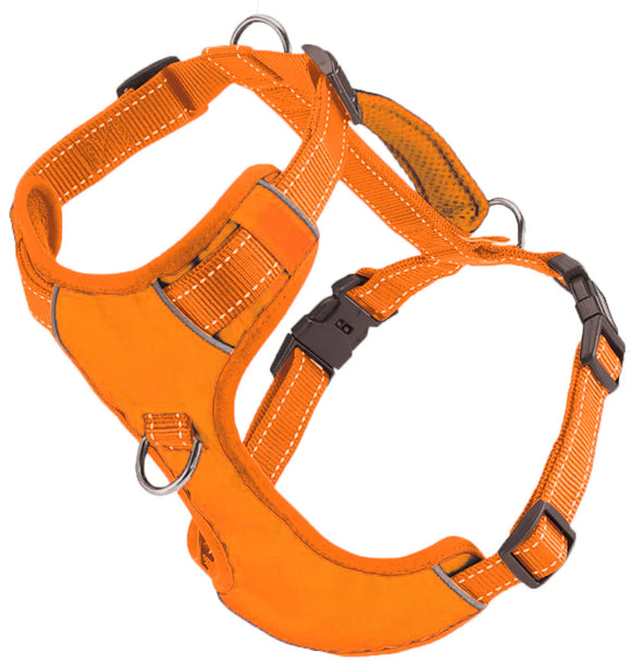 BAYDOG CHESAPEAKE HARNESS ORANGE - MEDIUM