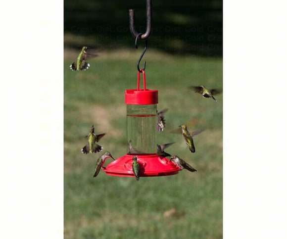 Dr. JB's 16 oz Clean Feeder All Red Hummingbird Feeder