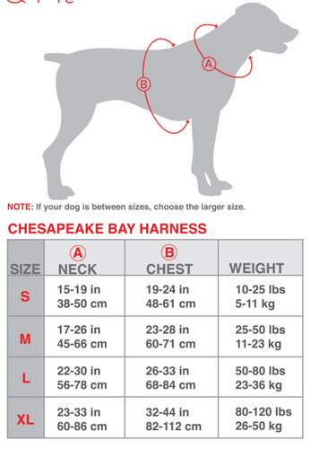 BAYDOG CHESAPEAKE HARNESS - SEA FOAM SMALL