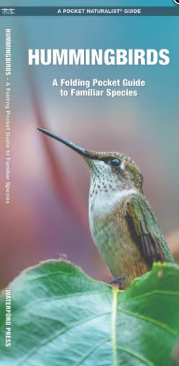 HUMMINGBIRDS POCKET GUIDE