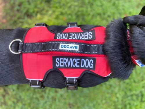 BAYDOG SERVICE DOG HARNESS - SMALL