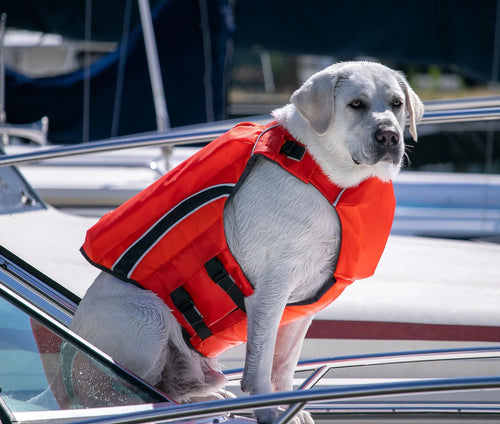 MONTEREY BAY DOG LIFEJACKET OFFSHORE - ORANGE LARGE