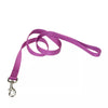 Coastal Single-Ply Dog Leash - 6 ft Long, 3/4in Width