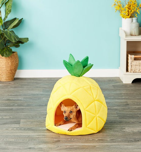 YML Pineapple Covered Cat & Dog Bed Medium