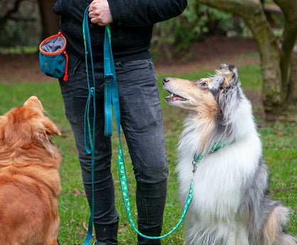 RC Pets Essential Treat Bag