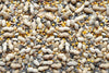 Song of America Critter Mix Seed