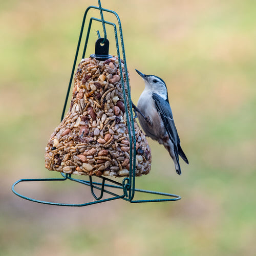 Mr. Bird Seed Bell Hanger