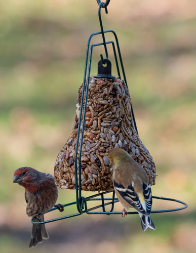 Mr. Bird Seed Bell Hanger