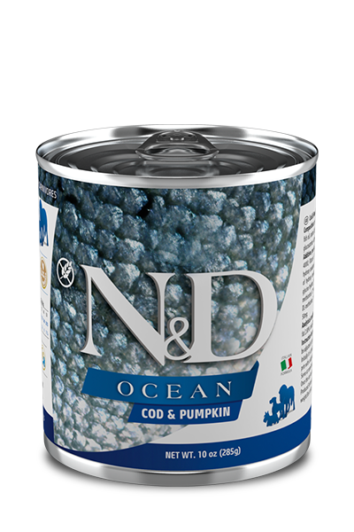 FARMINA N&D OCEAN COD & PUMPKIN WET DOG FOOD - 10oz.