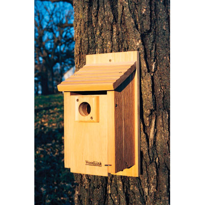 Traditional Bluebird House