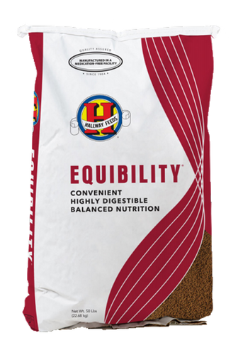 Hallway Feeds Equibility®