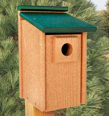 Woodlink Going Green Bluebird House