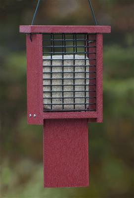 Going Green Tail-Prop Suet Feeder