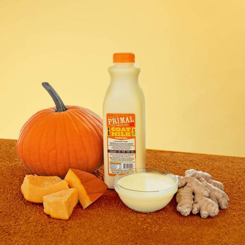 GOAT MILK + PUMPKIN SPICE - 1 Quart