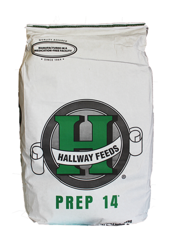 Hallway Feeds Prep 14®