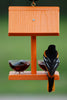 Recycled Orange Jelly Feeder