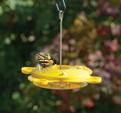 Plastic Butterfly Feeder - 12oz