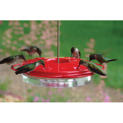 Plastic Hummingbird Feeder - 12oz