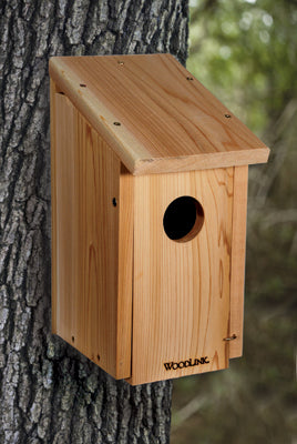 Cedar Woodpecker House