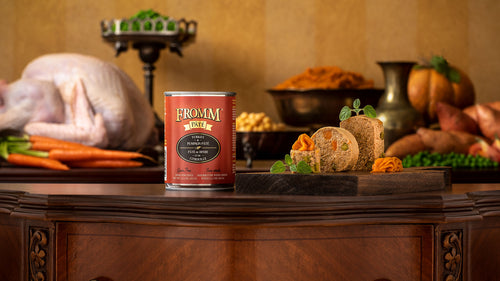 Fromm Family Gold Turkey & Pumpkin Pâté Food for Dogs