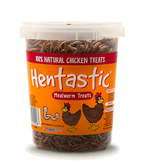 Dried Mealworm Chicken Treats