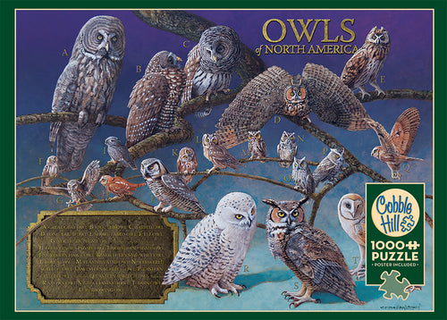 OWLS OF NORTH AMERICA 1,000 PIECE PUZZLE