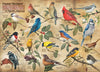 POPULAR BACKYARD WILD BIRDS OF NORTH AMERICA 1,000 PIECE PUZZLE