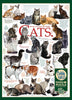 CAT QUOTES 1,000 PIECE PUZZLE