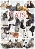 CAT QUOTES 1,000 PIECE PUZZLE