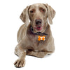 Tennessee Volunteers Dog Tag, Large Bone